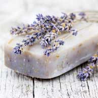 Lavender