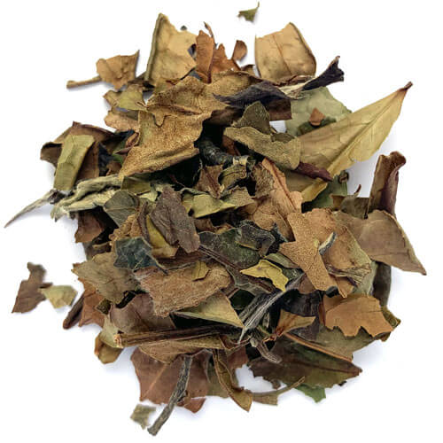 White Tea, Bai Mu Dan
